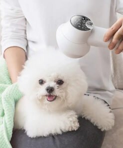 2 in 1 Smart Dog Hair Dryer